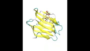Molecular dynamics simulation of galectin-3 with compound 1