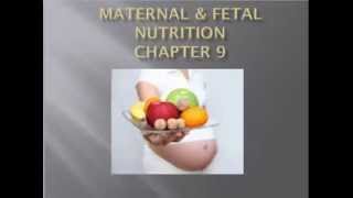 Chapter 9  Fetal & Maternal Nutrition
