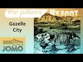 Gazelle City  - the pillows (Instrumental Cover by JoMo)
