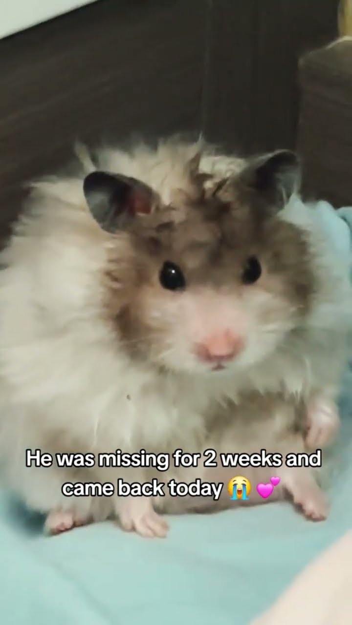 Poor bro actually seen some things