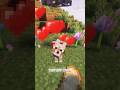 siz köpeğinizi yanınıza alıyor musnuz? #minecraft #memes #modluminecraft #edit