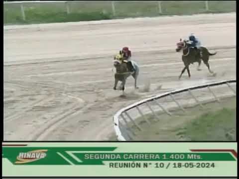 V74 | Copa “Unión de Entrenadores del Estado Carabobo” | Paprika | Hipódromo Nacional de Valencia |