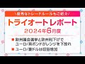 2024年6月度【 トライオートレポート】