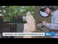 Dozens of intricate wood carvings on display for 'CarvePrize' in Shelby