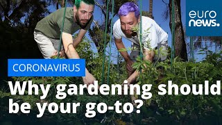 Why gardening should be your go-to quarantine activity