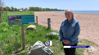 Lake St. Clair Metropark Beach Restoration