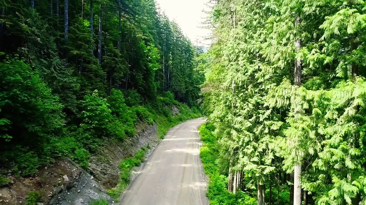 High Above Devils Lake Stave Falls Mission BC Canada With DJI Phantom 4 Pro Drone YouTube