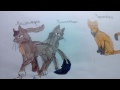 Мои рисунки Котов-Воителей #5