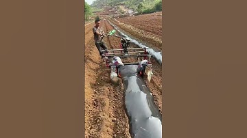 2023 South Korea market favorite and popular #mulchlayermachine #plasticmulchlayer #農用覆膜機 work video