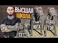 ПИТБУЛЬ НА ПРОГУЛКЕ - Социализация щенка