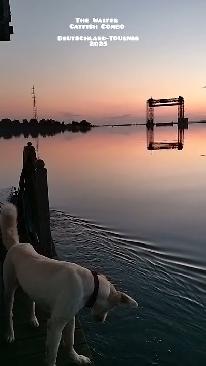 Sunset Boat Trip #thewaltercatfishcombo #ullisgang #piratencafezumfaulenpaul #reggae #karninerbrücke