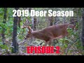 STUD 8 POINT DOWN! 2019 Deer Season- Episode 2. Self-Filmed Bowhunting