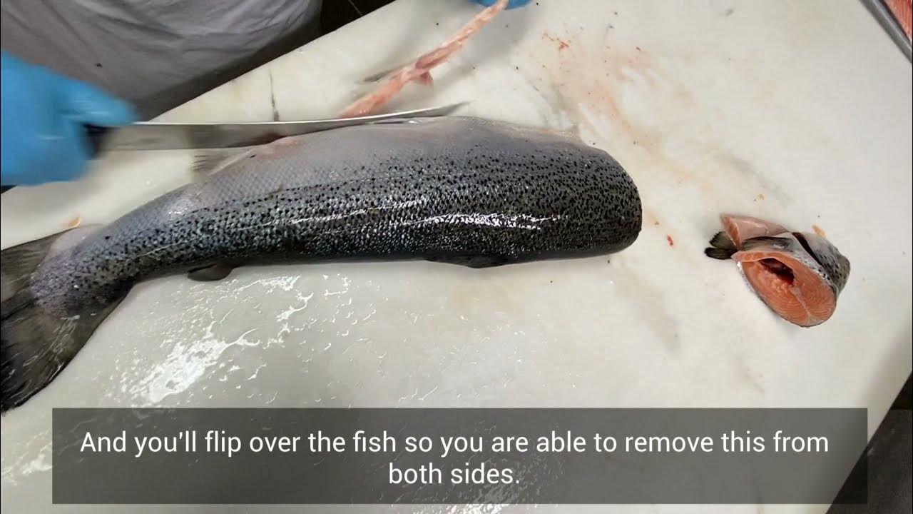 How to Fillet Whole Salmon Steaks and Fillets YouTube
