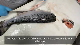 How to Fillet Whole Salmon: Steaks and Fillets