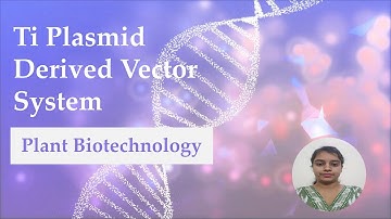 Ti Plasmid Derived Vector System | By: Ashika Jain