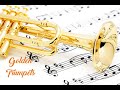 Golden Trumpets