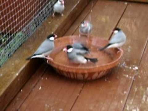 IMGP1436.AVI