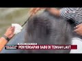 Detik-detik Penyergapan Sabu di Tengah Laut | Berita Utama Kriminal