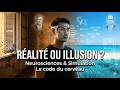 Réalité vs Simulation : Quand le cerveau ne distingue plus le vrai