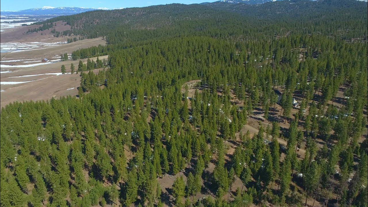 Virtual Tour Lot 29 Duke Lane, Donnelly Idaho YouTube