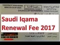 Check my Iqama renewal fee 2020 1442-1443