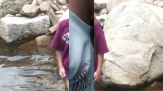 Music Video To Carolina On My Mind 2008