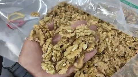 185 walnut kernel ELH 90