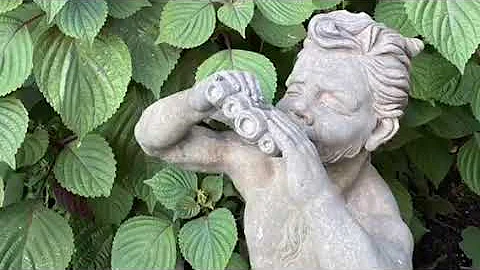 The Barbara Crawford - Mitchell Schmieding Garden