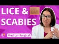 Lice  scabies parasitic infections integumentary system  medicalsurgical   leveluprn