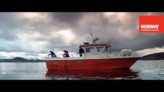 Helle Freude - Sommer in Nordnorwegen