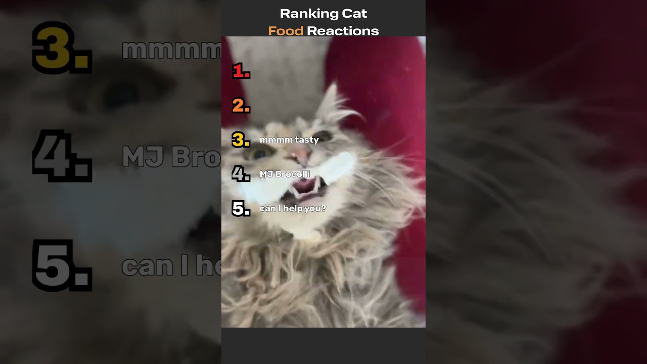 Ranking Cat Food Reactions