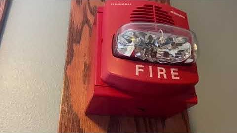 Simplex 4906-9127 TrueAlert Horn Strobe Multi-Candela Test/Demo