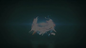 Expert WordPress Joomla Drupal & Moodle LMS Consulting Service