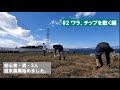 【週末農業】#2 タマネギ植える｜敷きわら｜ウッドチップ｜いい天気