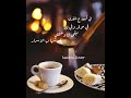 فيروز الصباح في قهوه على المفرق
