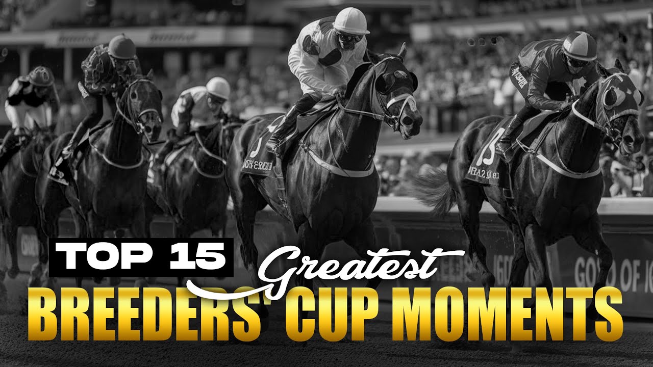 15 самых незабываемых моментов Breeders' Cup всех времен!