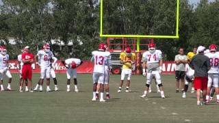 Chiefs Training Camp - 14 Aug 2012