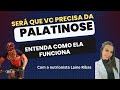 Como a PALATINOSE ajuda os ciclistas? Será que você precisa dela?