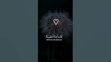 القران الكريم تلاوات خاشعة 🤍#explore #youtube #تلاوات #maroc #instagram #fypシ #quotes