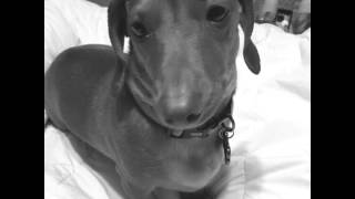 Flipagram - April 10, 2015