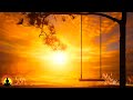 🔴 Relaxing Music 24/7, Calm Music, Healing Music, Sleep Music, Yoga, Meditation Music, Study Music