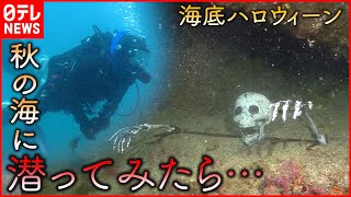 【ダイビング映像】海底にガイコツが…!? 伊豆の海でハロウィーンイベント開催