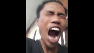 video lucu 30 detik story whatsap