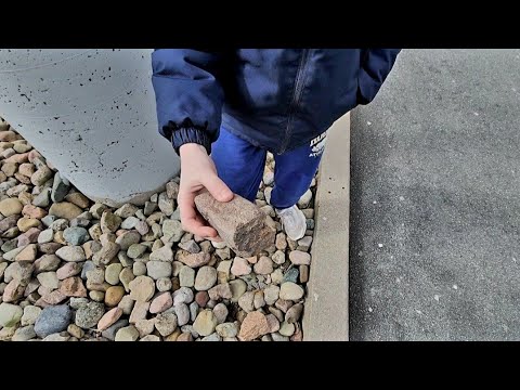 Ordinary Rock Found