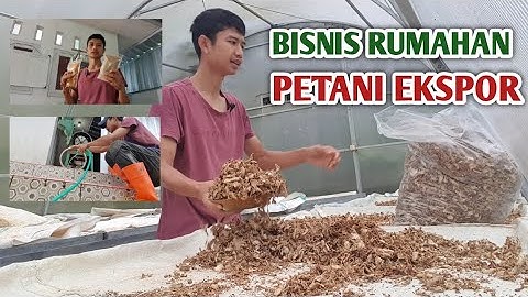 BISNIS RUMAHAN MODAL MINIMAL HASIL MAXSAIN 😅🌱