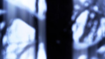 Snow...unceasing snow