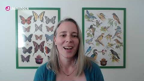 Netlify Partner Integrations