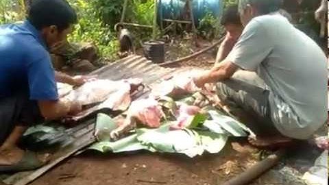 Nhật ký cúng mưa của người ê đê||Núi rừng tây nguyên