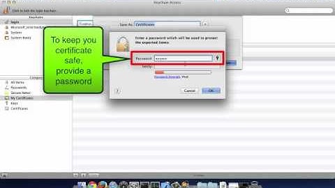 Create a p12 certificate