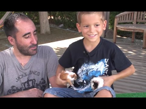 Video: Cómo los hámsters, cobayas y otras mascotas pueden ayudar a los niños autistas